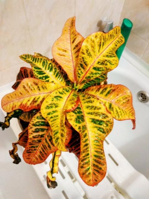 Лавстори.   А помнишь, как всё начиналось? 07