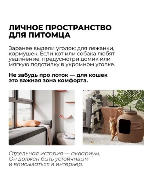 Ты продумал интерьер до мелочей: стильный диван, уютный ковер, модные растения. 01