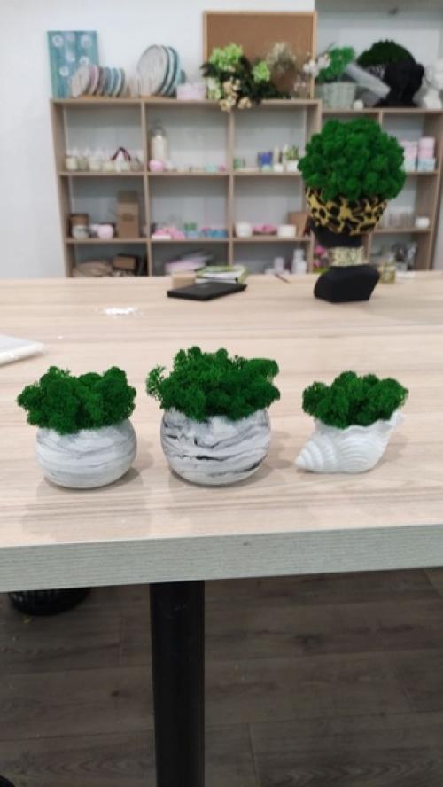 Можно ли стабилизированным мхом декорировать ванную комнату. 03