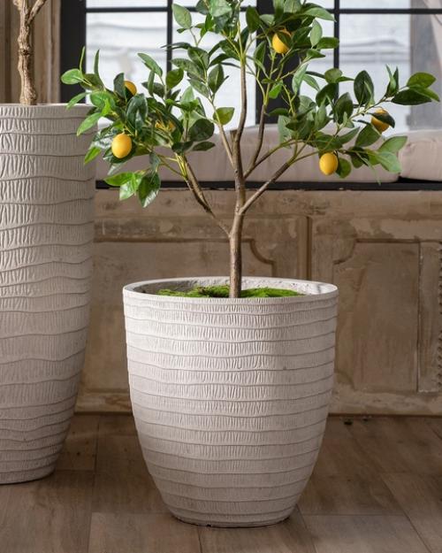 Коллекция Waves Grey Nobilis Marco для озеленения современных пространств предназначена. 01