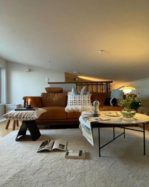 Ковры могут быть важной частью интерьера и помочь создать уютную атмосферу в доме. 02