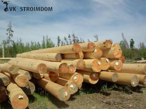 Канадская рубка: описание технологии, фото домов, проекты. 03