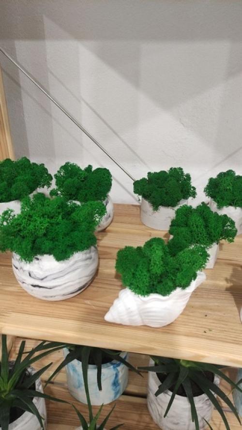 Можно ли стабилизированным мхом декорировать ванную комнату. 01