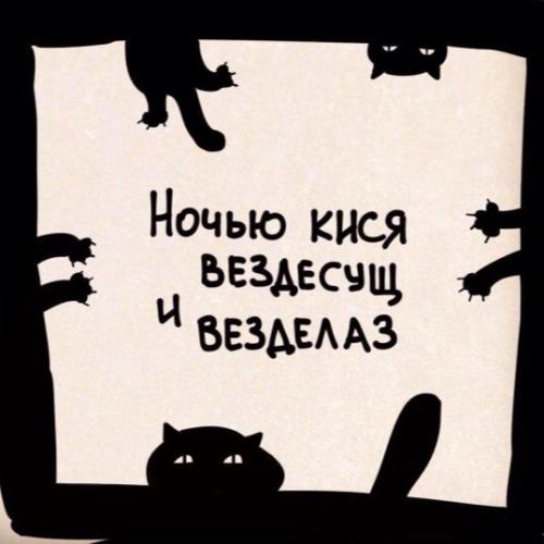 Немного искреннего смеха на ночь? Немного искреннего смеха на ночь?