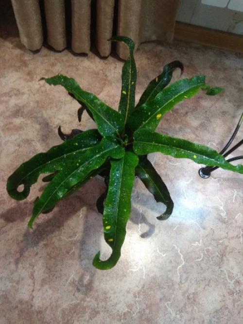 Лавстори.   А помнишь, как всё начиналось? 03