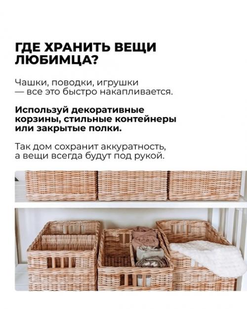 Ты продумал интерьер до мелочей: стильный диван, уютный ковер, модные растения. 02