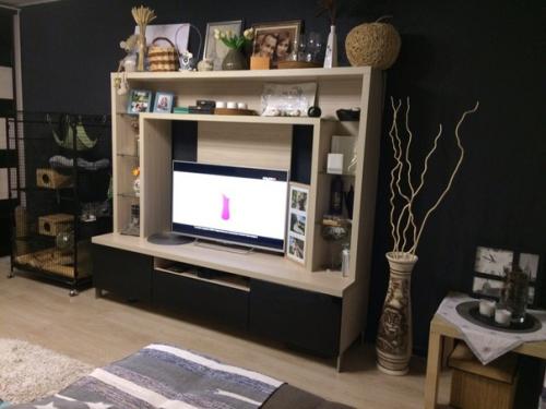 Добрый вечер, хочу показать свою гостиную - спальню в однокомнатной квартире. 03