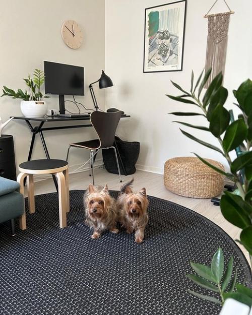 Белый и зеленый - одни из самых популярных цветов в дизайне интерьера, а особенно в скандинавском. 08