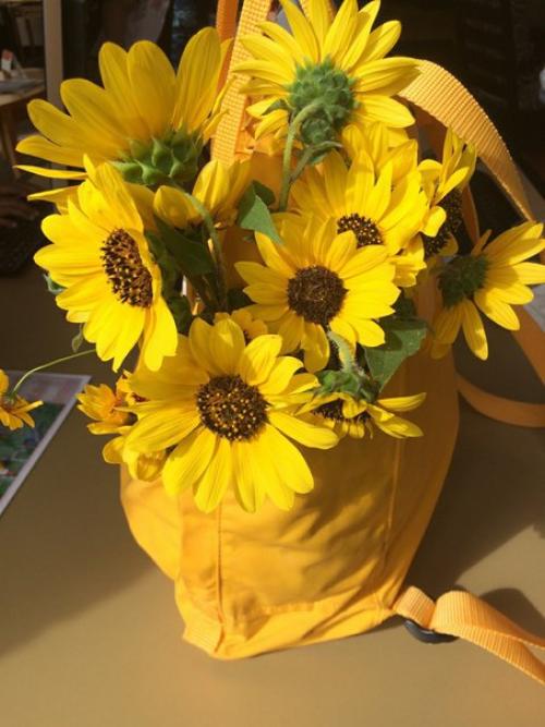 Как поднять летнее настроение? 01