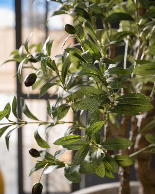 Коллекция Waves Grey Nobilis Marco для озеленения современных пространств предназначена. 05