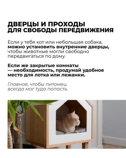 Ты продумал интерьер до мелочей: стильный диван, уютный ковер, модные растения. 05