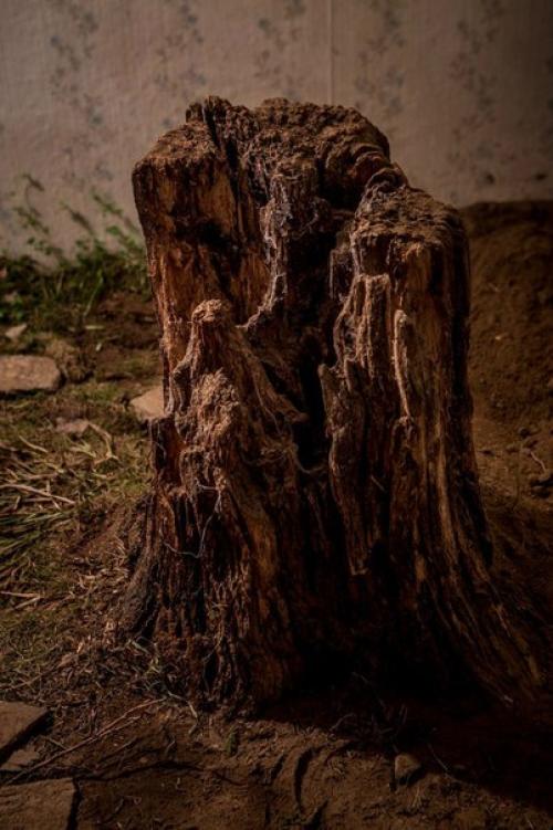 Мы продолжаем инспекцию квестов города. 05