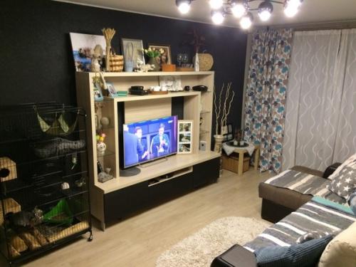 Добрый вечер, хочу показать свою гостиную - спальню в однокомнатной квартире. 06