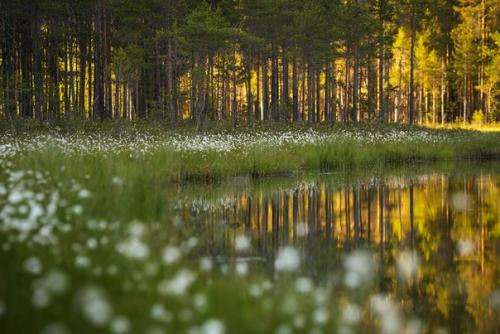 Показываю себя и свои работы. 04