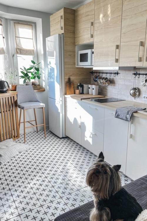 Маленькая, но уютная однокомнатная квартира в Москве стала настоящим убежищем для молодой семьи и трех милых Йорков. 05