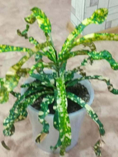 Лавстори.   А помнишь, как всё начиналось? 05