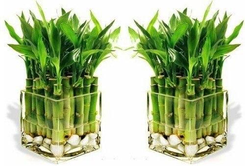 Как привлечь в дом богатство и удачу. 
