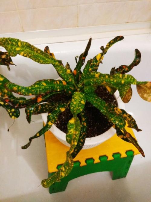 Лавстори.   А помнишь, как всё начиналось? 08