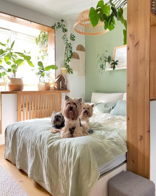 Маленькая, но уютная однокомнатная квартира в Москве стала настоящим убежищем для молодой семьи и трех милых Йорков. 04