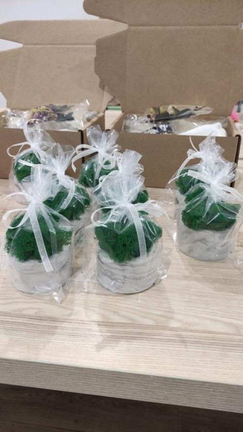 Можно ли стабилизированным мхом декорировать ванную комнату. 04