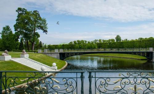 Константиновский дворец.  -. 06