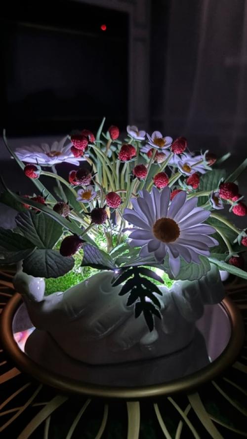 Часть 2 по землянике, а теперь хочу показать, как она светится в темноте. 04