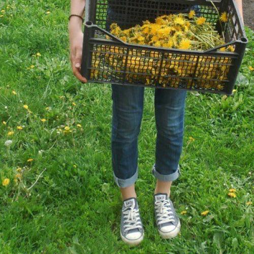 Как интересно провести лето в городе? 01