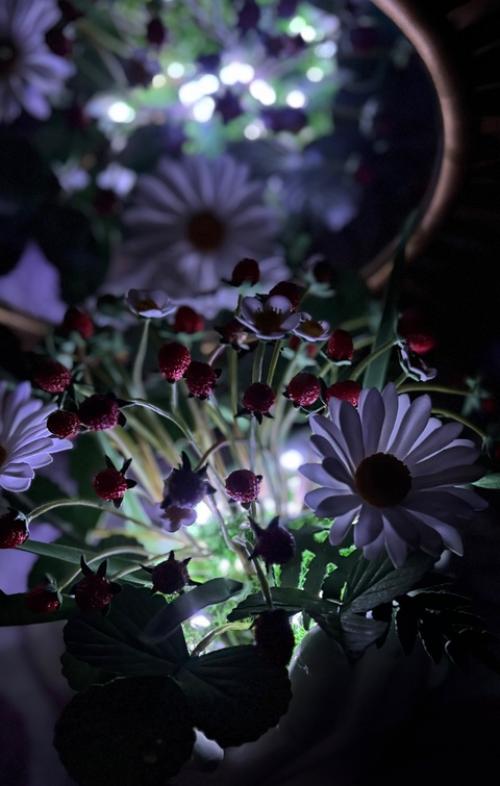 Часть 2 по землянике, а теперь хочу показать, как она светится в темноте. 01