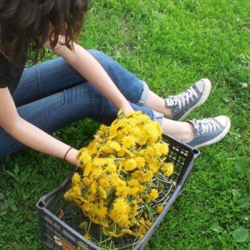 Как интересно провести лето в городе? 

