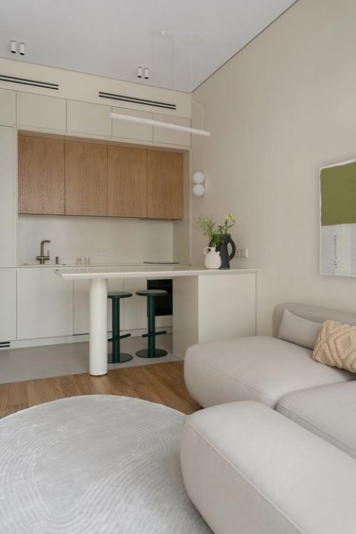 Светлый интерьер 1-комнатной квартиры 37, 5 м 2 в центре Москвы. 03