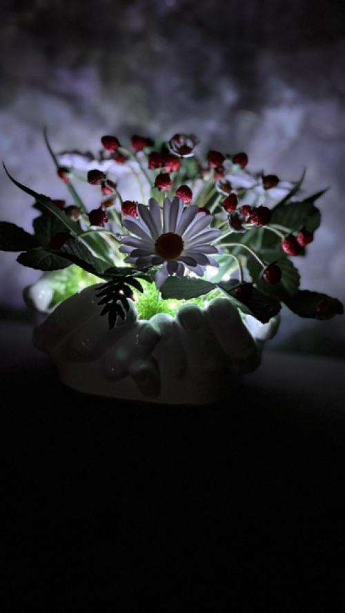 Часть 2 по землянике, а теперь хочу показать, как она светится в темноте. 02