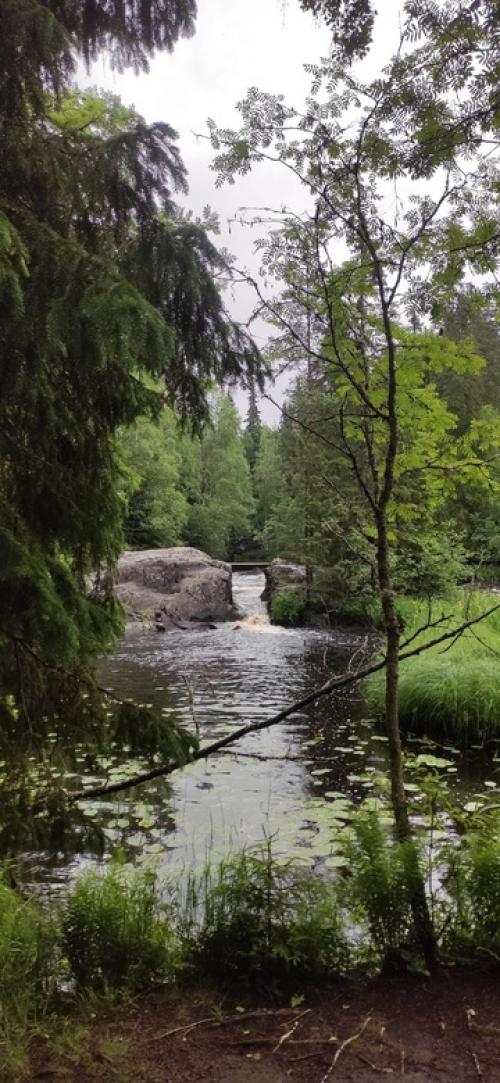 Путешествие из Петербурга в Карелию. 01 Путешествие из Петербурга в Карелию. 01