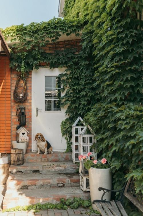 Стеклянный дом Теплица в живописном саду. 03