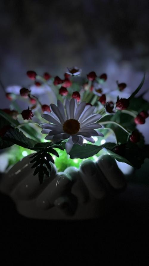 Часть 2 по землянике, а теперь хочу показать, как она светится в темноте.  