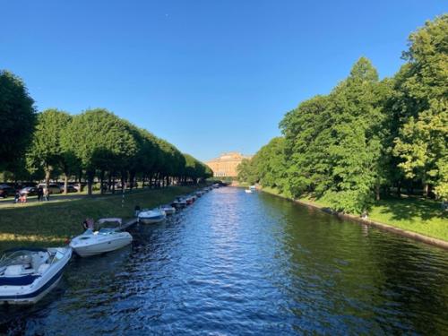 За полторы недели в питере я все ещё не адаптировалась к новой квартире. 03