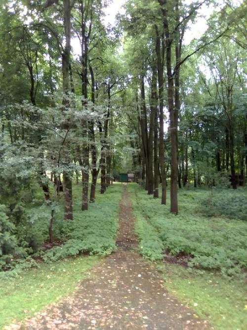 Усадьба феррейнов ( Михайловское). 07