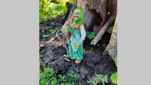 Жительница Павловска Юлия воронина живет будто в сказке. 06