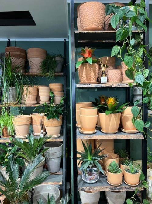 Мечта истинного эстета. 07