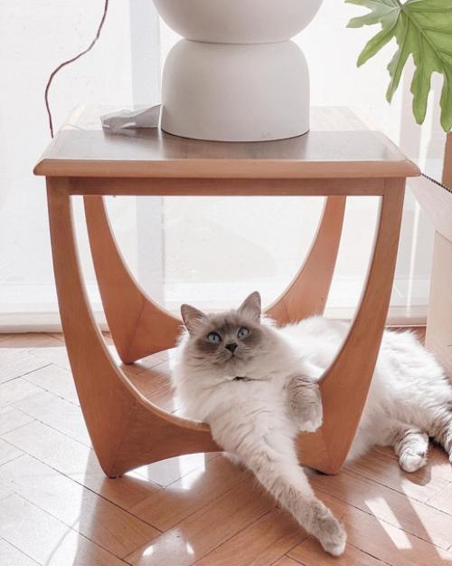 В своей первой книге Шведские Интерьеры элейш и ван бримс рассказывают о 27 различных элементах скандинавского дизайна. 01