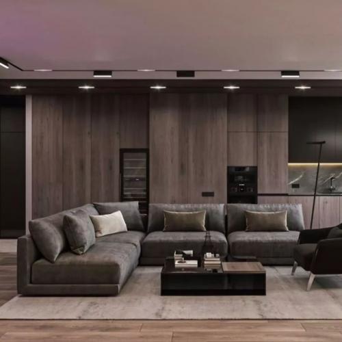 - современная просторная кухня - гостиная со столовои зонои площадью 30 кв. 08