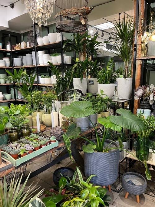 Мечта истинного эстета. 09