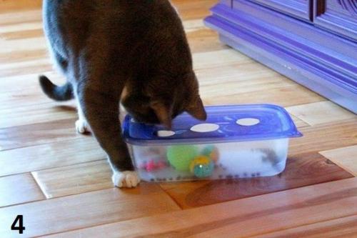 7 лайфхаков, которые облегчат жизнь любого кошатника. 03