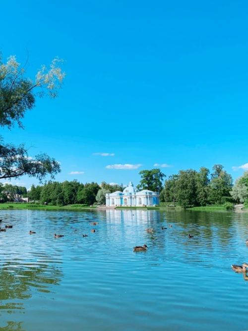 В день рождения а. с. Пушкина будет очень своевременно начать рассказывать о городе, который назван в честь великого поэта. 03