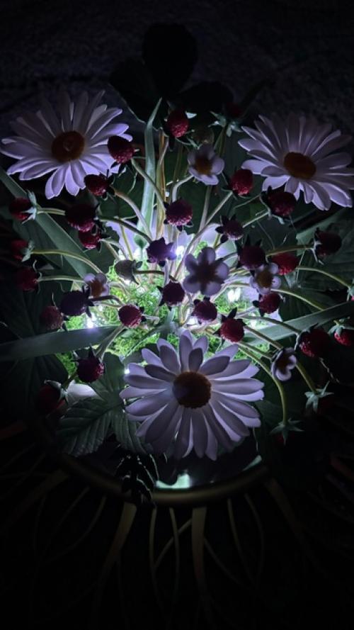 Часть 2 по землянике, а теперь хочу показать, как она светится в темноте. 03