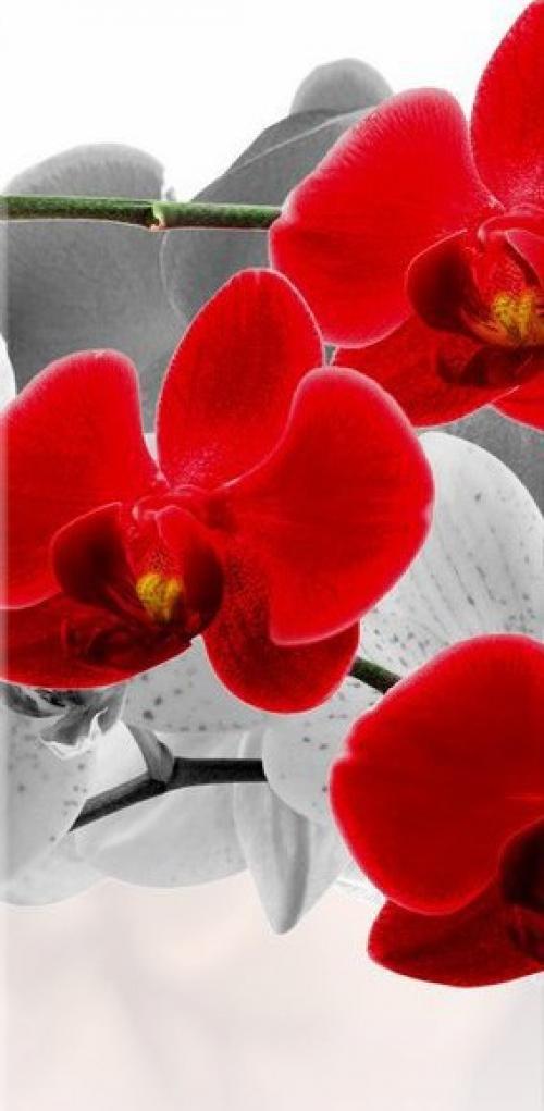 - хозяева!  Кто есть дома? 05