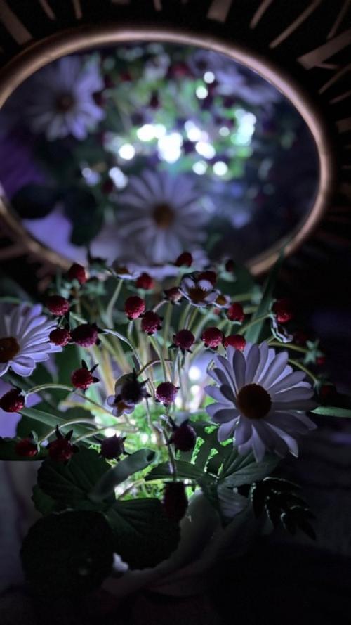 Часть 2 по землянике, а теперь хочу показать, как она светится в темноте. 05