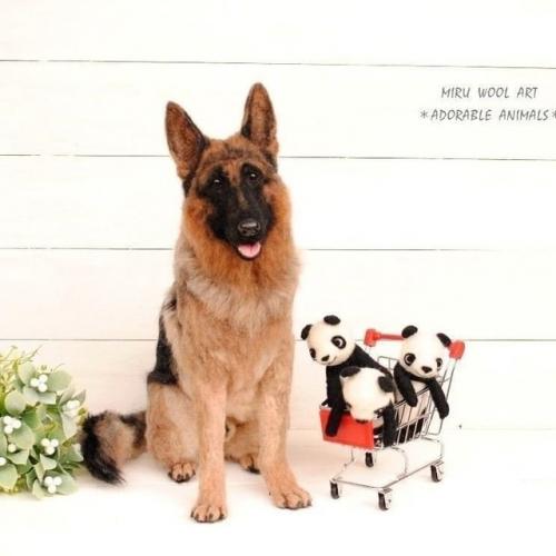 Войлочные игрушки от японского художника миру. 03