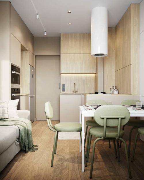 Дизайн кухни - гостиной 13 кв. 01