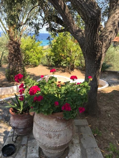 Итак, о нашем домике в Греции (ибо многие спрашивали). 01