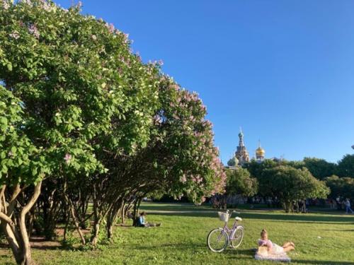 За полторы недели в питере я все ещё не адаптировалась к новой квартире. 01